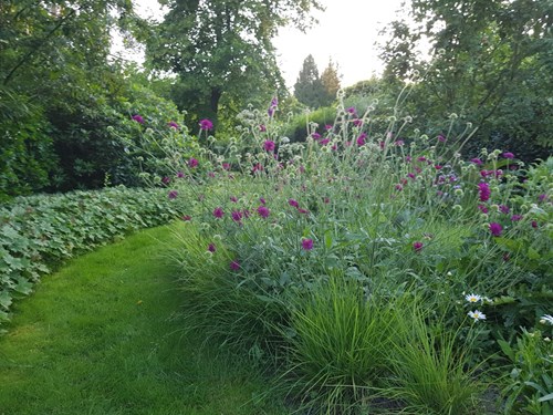 Eilandborder in de natuurlijke tuin